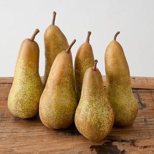 круши, круши сорт Абат фетел
